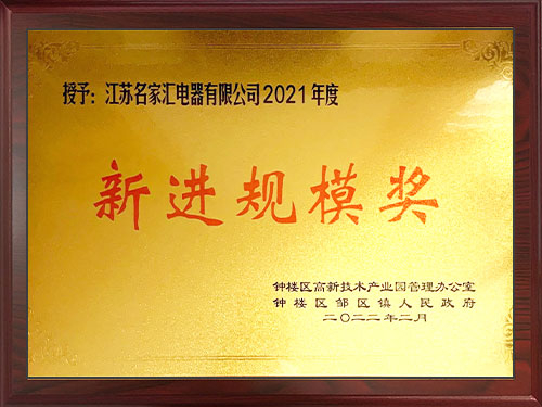 New scale award in 2021