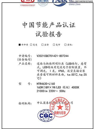 Energy saving type test report of street lamp