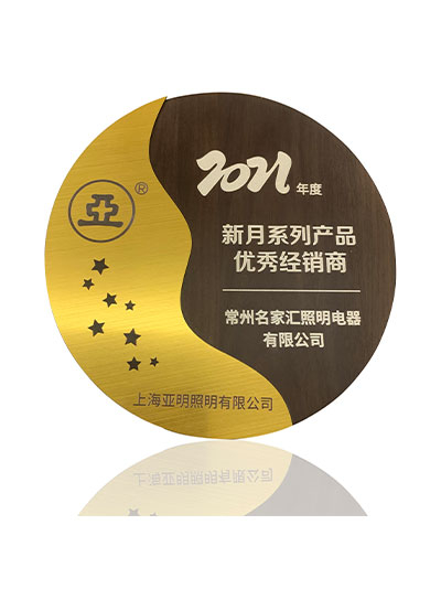 2021年度上海亚明 新月系列产品优秀经销商